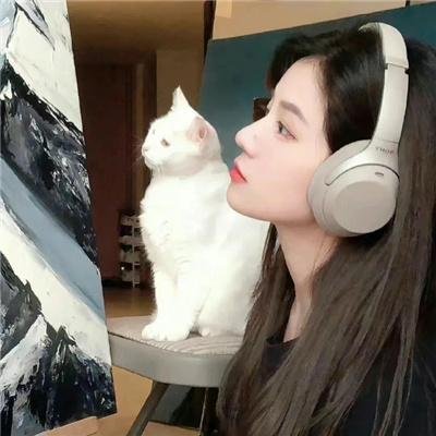 宇宙奇犬